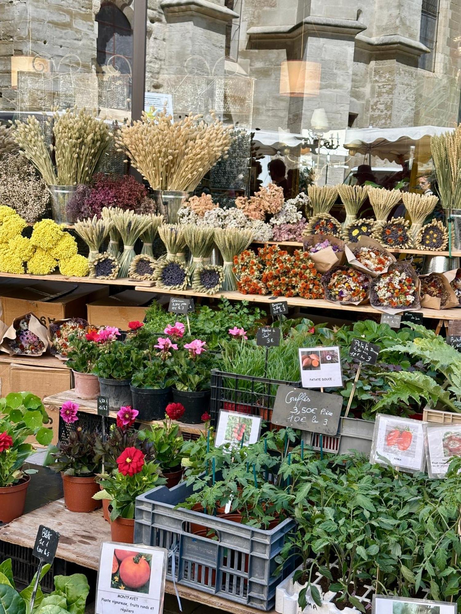 L Atelier De La Sorgue LʼIsle-sur-la-Sorgue Extérieur photo